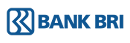 Digital Marketing BRI