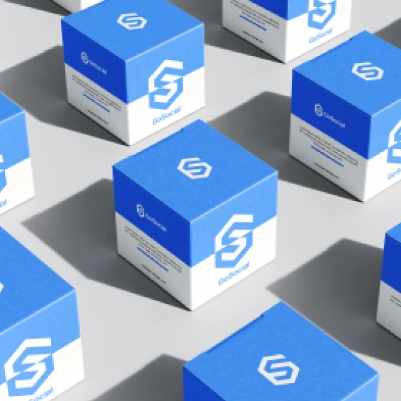 SVG