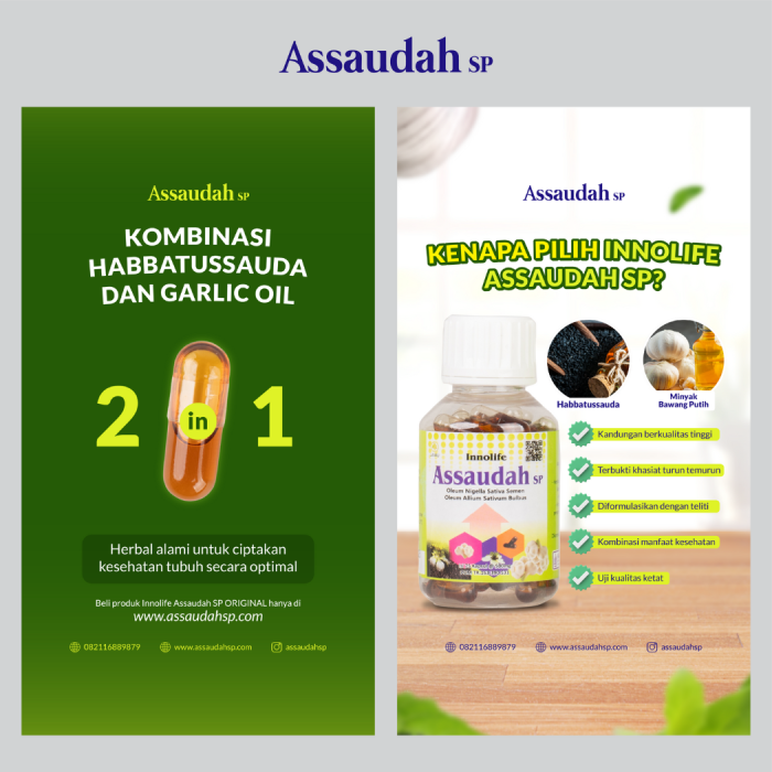 Portofolio - Assaudah SP