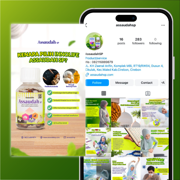 Portofolio - Assaudah SP