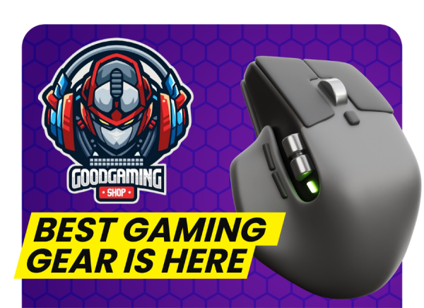 Portofolio - Good Gaming Shop