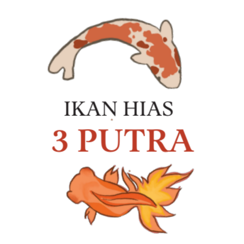 Portofolio - Ikan Hias 2 Putra