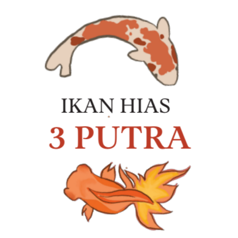 Portofolio - Ikan Hias 2 Putra