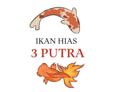 Portofolio - Ikan Hias 2 Putra