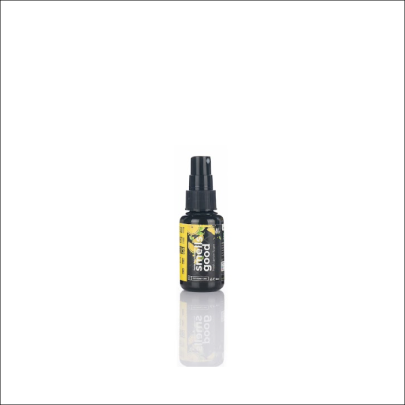 Portofolio - Kilap Premium