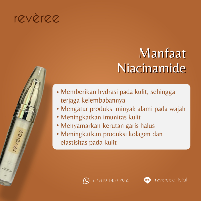 Portofolio - Reveree Official