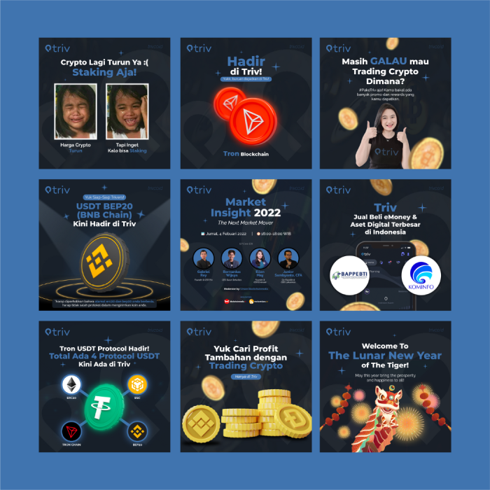 Portofolio - Triv Indonesia