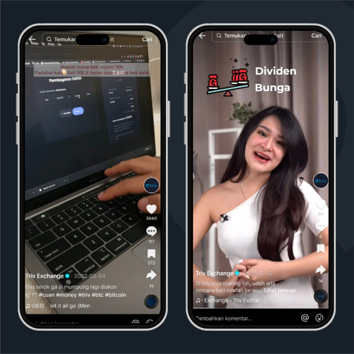 Portofolio - Triv Indonesia